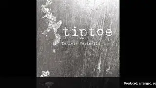 Flow With It - Daniele Marinelli - Album: Tiptoe