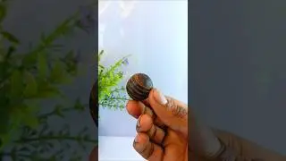 easy craft make Ball with coconut shell craft ideas #shortsfeed #shorts #diy #music