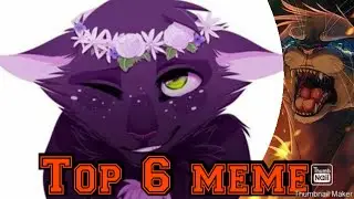 Топ 6 meme Коты-Воители/ Omezon wife/