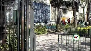 Le mur des je t'aime Paris Montmartre
