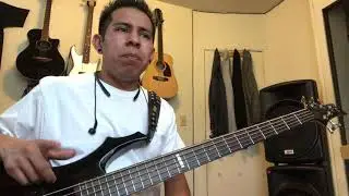 Picame tarántula (cover bass)