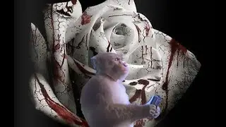 If 'Romantic Homicide' by d4vd had a solo