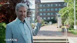 Wie ein Vogel Politik macht