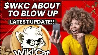 WIKI CAT NEXT MASSIVE PUMP SOON! MASSIVE UPDATE