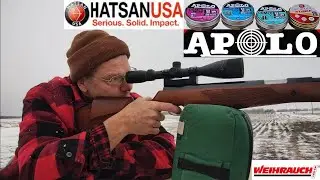 HW77 ест пеллеты Apolo и Hatsan