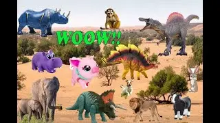Animals Toys Play & Learn with Sand Zoo Animal Toys | Wild animals