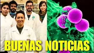NOTICIA de &Uacute;LTIMA HORA CIENT&Iacute;FICA MEXICANA logra ELIMINAR VIRUS del PAPILOMA HUMANO