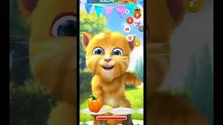 MytalkingGinger#Shortfeed#Shortonly#Shortviral#short#cat#talkingtomsing#cartoon#funy#funytalkingtom#
