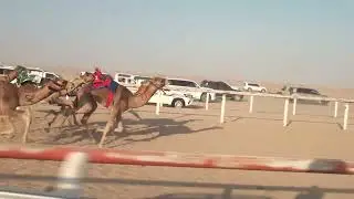 التزام ل صقر بن سلوم الجنيبي