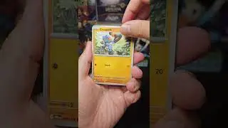 Pok&eacute;mon Mega Evolution Pack E01  #MegaEvolution #PokemonCards #BoosterPackOpening  #PokemonPulls