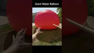 Giant Growing Water Balloon #shorts