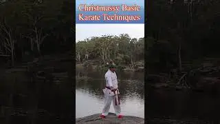 Wish you Merry Christmas 🎄/ Christmassy Karate 🥋