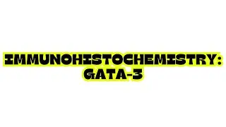 IMMUNOHISTOCHEMISTRY: GATA-3
