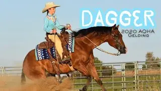Dagger - 2026 Arizona Cowgirl Cadillac Sale