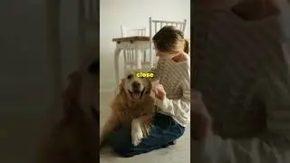 Скрытые признаки того, что ваша собака вас любит (большинство людей их не замечают)