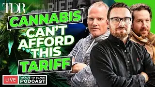 Tariffs, Delays & Debt: The Cannabis Industry's New Reality | Trade to Black