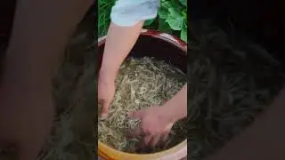 TRADITIONAL CHINA PAPER MAKING: A Peaceful Journey From Forest Plants | Handcrafted Art