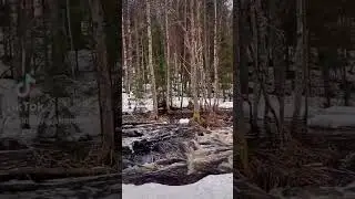 20 мая 2024 г.