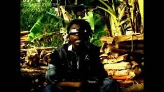 SHOLA  MAMI WATER
