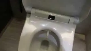 Amazing luxury in hotel room - TOTO toilet & washlet