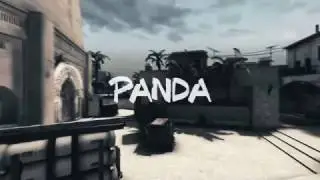 PANDA CSGO EDIT -ZIP SYN