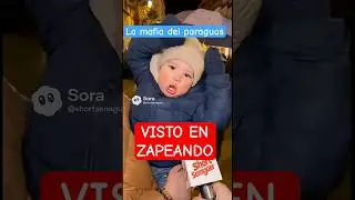 El v&iacute;deo que sali&oacute; en ZAPEANDO: 
