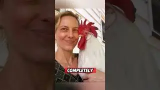 She Rescued a Helpless Baby Chicken and Helped It Start a New Life ❤️ #rescue #chicken