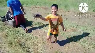 (dolphin type)power tiller mud boat/ my pera sa putik mg ka ulam pa! rice land preparation #kagarden