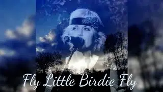 Fly Little Birdie Fly - Jeanne L. Thompson and The Peace Train