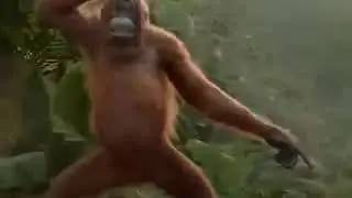 Kothi Dance