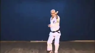 Jitte - Jiro Otsuka Sensei