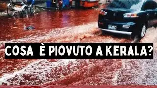 The scientific mystery of the Red Rain of Kerala (India).