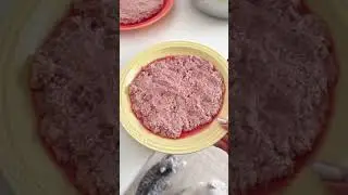 沉浸式喂猫｜流浪猫是什么神秘群体吗#喂猫日记 #帕特 #帕特生命猫粮 #科学喂养 #抖加小助手