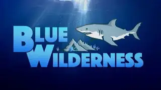 Blue Wilderness - FIRST LOOK!