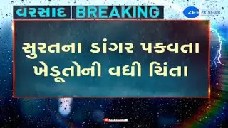Paddy crops damaged due to heavy rains in Surat, farmers reach Mandali to deposit remaining produces