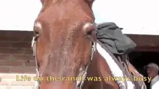 Half-Broke Horses Book Trailer