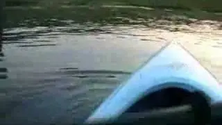 New Pond Jump 2