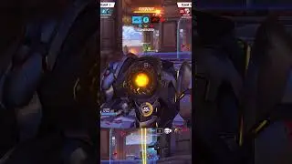 #Shorts 6K REIN