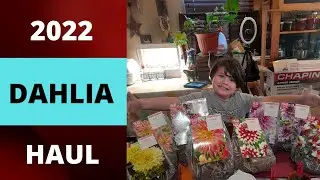 OUR 2022 DAHLIA HAUL