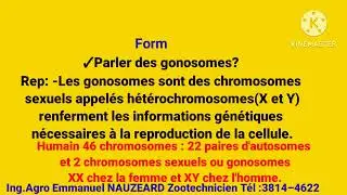 Biologie : SVT SMP SES ✍️ Chromosomes et les syndromes : pa Al konpoze sanw pa konnen yo✍️💯