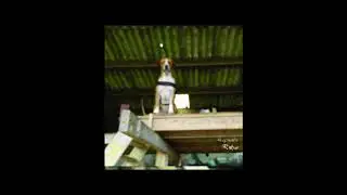 11. ratur // manger du bourge // prod dudu