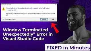 Window Terminated Unexpectedly” Error in Visual Studio Code