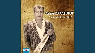 Üzüm Aldım Asmadan