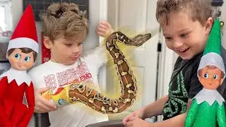 Elf On The Shelf Snake Prank! 🐍  - Daily Bumps Vlogmas 2022