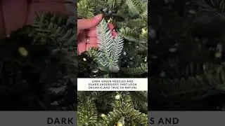 This tree accurately replicates the color and silhouette of farm-grown Fraser firs | Balsam Hill&reg;
