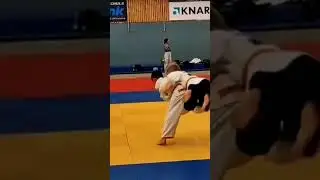 ippons#best#judo#short
