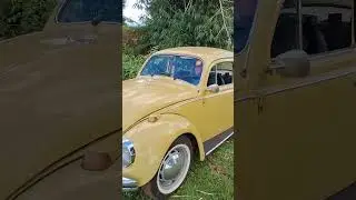 Fusca + Barrulho de motor =adrenalina #fusca #diariodeumfusca
