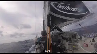 Alex Alley's Incredible Adventure