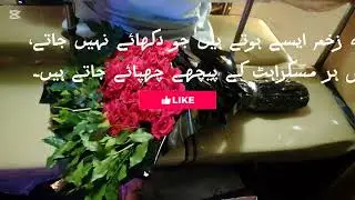 Urdu sad poetry 