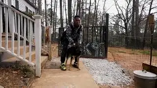 &ldquo;Max&rdquo; Czech Line Shepherd working obedience for 1st time